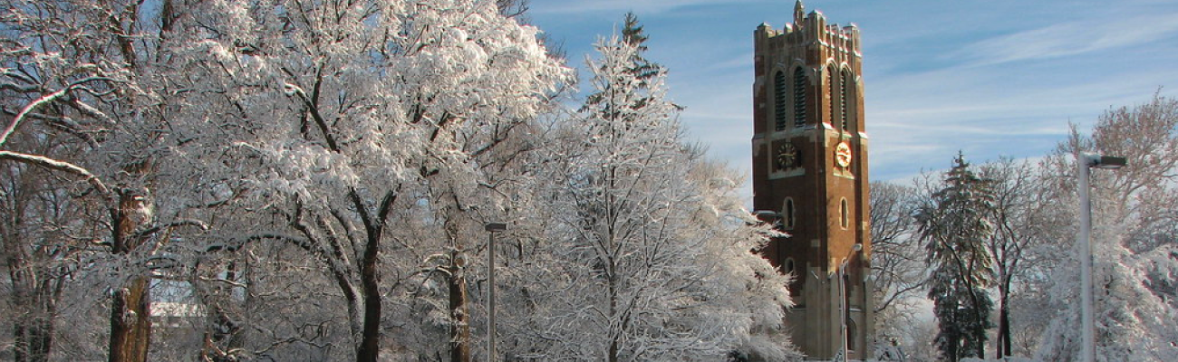 Beaumont Tower in the winter 